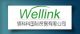 zibo wellink international co., ltd