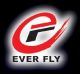 EVER FLY TOYS FACTORY