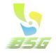 Hongkong Baisga Industrial Co., Ltd.