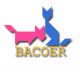 Bacoer Pet Products Co., Ltd.