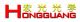 HONGGUANG OPTICS INTERNATIONAL INDUSTRY COMPANY LIMITED