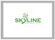 Skyline Industry Group Limited