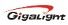 shenzhen gigalight technology co., ltd