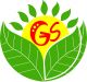 ShenZhen Green Shared Energy CO., Ltd.