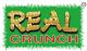 Real Agro Foods Pvt. Ltd