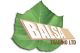 BALSA TRADING LTD