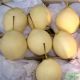 fruit grower