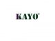 KAYO Battery ( ShenZhen ) Co., Ltd.