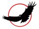 Shining Ocean International Logistics Group