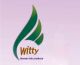 Witty Hair Products Co., Ltd