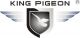 King Pigeon Hi-Tech Group