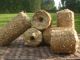 Straw biomass briquettes