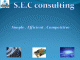 SEC consulting