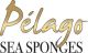 Pelago Sea Sponges