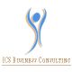 ICS Business Consulting