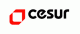 Cesur Packaging