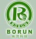 Borun New Energy Science & Technology Co., Ltd