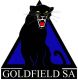 GOLDFIELD SA