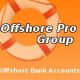 Offshore Pro Group