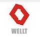 Shenzhen Wellt Welding Technology Co.LTD