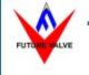 Tianjin Future Valve Co. Ltd