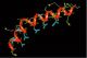 Apibrazil Zoopeptides Biofeatures