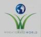 wheatgrass world inc.