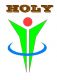 HOLY PRECISION TECHNOLOGY CO., LIMITED