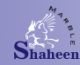 Shaheen Marbles