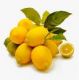 Lemonindia
