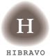 Hibravo Group Limited