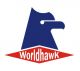 Changchun Worldhawk Optoelectronics Co., Ltd.