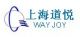 WAY-JOY (Shanghai) Industrial Co. Ltd