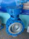 wen zhou ezem valve inc