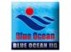 Qingdao Blue Ocean New High Technology Co.,Ltd