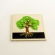 Chinese Tai Cang City montessori  teaching aid wood product factory