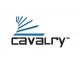 Cavalry Storage Inc.