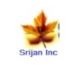 SRIJAN INC