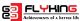 Flyking International Group Ltd