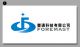 FOREMAST TECHNOLOGY CO., LTD