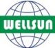 Shenzhen Wellsun Optoelectronics Technology Co., Ltd