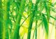 Lvzhou Bamboo and Wood Industry Co., LTD