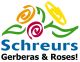 Schreurs Gerberas & Roses