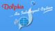 Dolphin International Ltd.