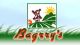 Bagrrys India Limited