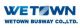 Jiangsu Wetown Busway Co. Ltd