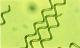 Zhejiang University-ningbo haiying biotechnoiogy co., ltd