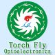 Dongguan Torch Fly Optoelectronics Shenzhen Marketing Center