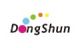 DongShun Toys Co., Ltd
