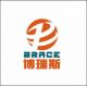 Zigong Brace Trade Co., LTD.